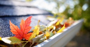 Autumn Maintenance Checklist: Cleaning Gutters