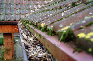 Snowstorm Coming? Make Sure You’ve Reinforced Your Roof