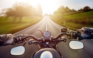 Summer Riding Safety: Recognizing & Preventing Heat Stroke