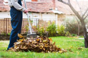The Best Methods for Taking Care of Falling Leaves