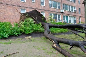 What Responsibilities Do Landlords Have in Storms and Other Disasters