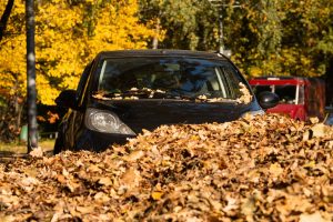 What You Need to Do to Prepare Your Vehicle for the Fall and Winter