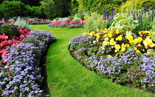 Misusing Products: Unknowingly Ruining Your Yard